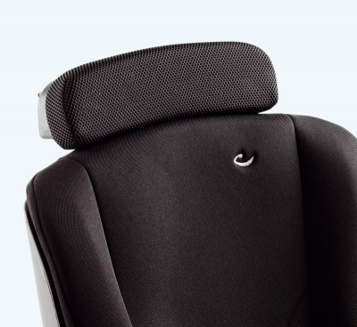 Анатоомическое увеличение спинки